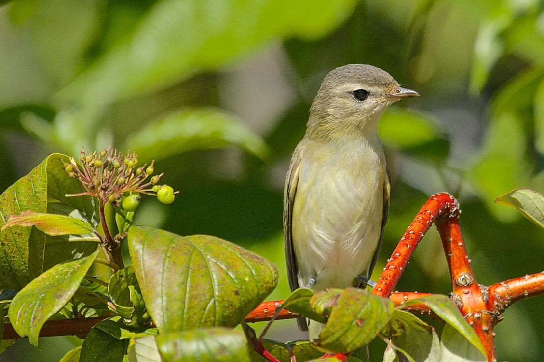 Welcome to my first&nbsp;post….