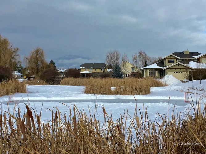 Belmont Pond 170114.jpg