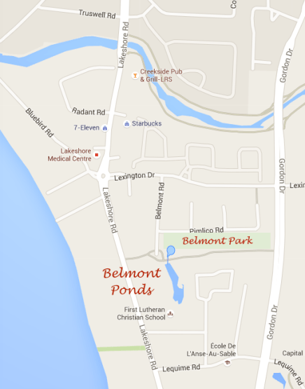 Belmont Pond and Park map.png
