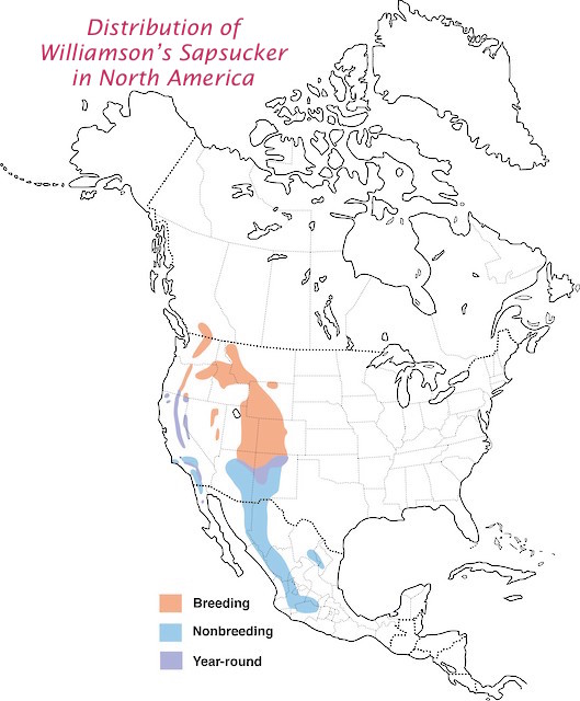 Distribution of Williamson's Sapsucker - birdsna.jpg