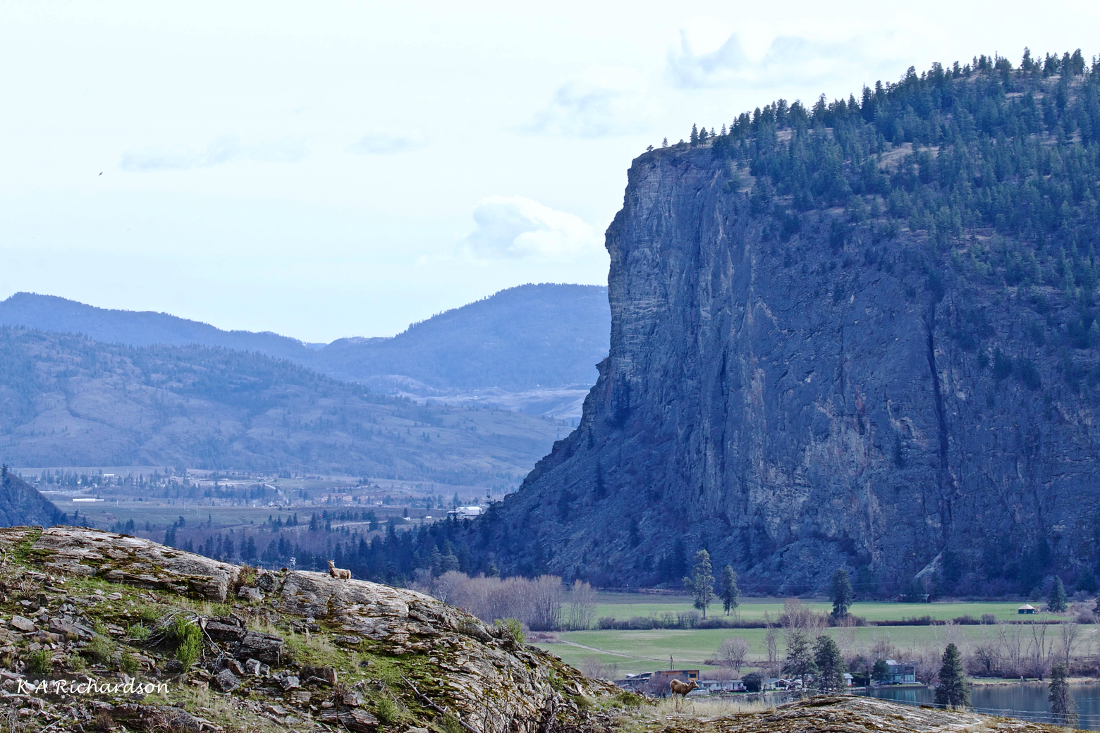 Vaseux Lake Bluff.jpg