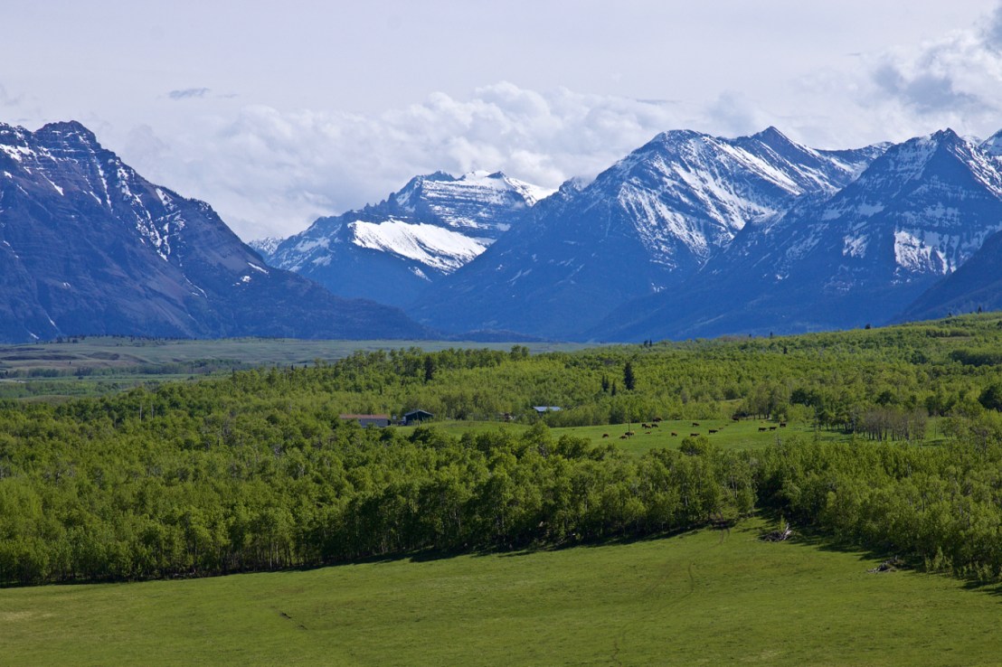 Southwestern Alberta (3).jpg