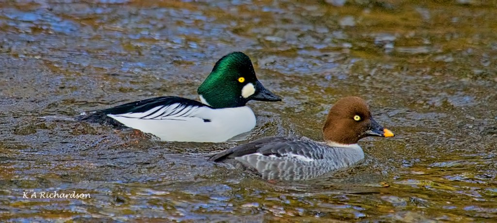 Don't worry, the shots get better with time.